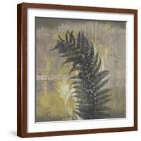 Natures Harmony II-Ken Hurd-Framed Giclee Print