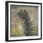 Natures Harmony II-Ken Hurd-Framed Giclee Print