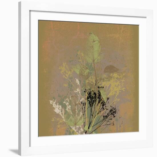 Natures Harmony IX-Ken Hurd-Framed Giclee Print