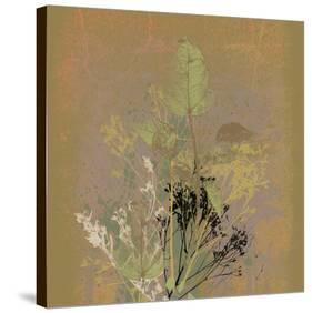Natures Harmony IX-Ken Hurd-Stretched Canvas