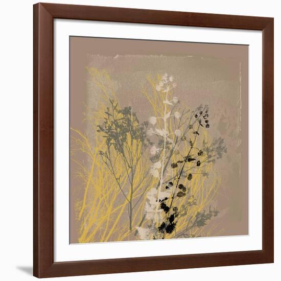 Natures Harmony VI-Ken Hurd-Framed Giclee Print