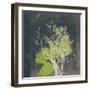 Natures Harmony VII-Ken Hurd-Framed Giclee Print