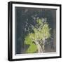 Natures Harmony VII-Ken Hurd-Framed Giclee Print