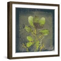 Natures Harmony VIII-Ken Hurd-Framed Giclee Print