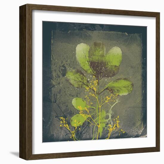 Natures Harmony VIII-Ken Hurd-Framed Giclee Print