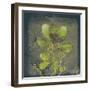 Natures Harmony VIII-Ken Hurd-Framed Giclee Print
