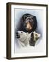 Natures Image-Barbara Keith-Framed Giclee Print