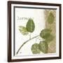 Natures Inspiration I-Mo Mullan-Framed Art Print