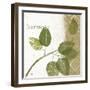 Natures Inspiration I-Mo Mullan-Framed Art Print