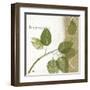 Natures Inspiration I-Mo Mullan-Framed Art Print