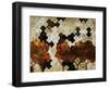 Natures Link-Kari Taylor-Framed Giclee Print