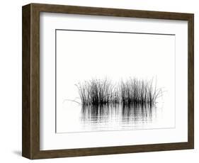 Natures Melody-Janet Slater-Framed Photographic Print