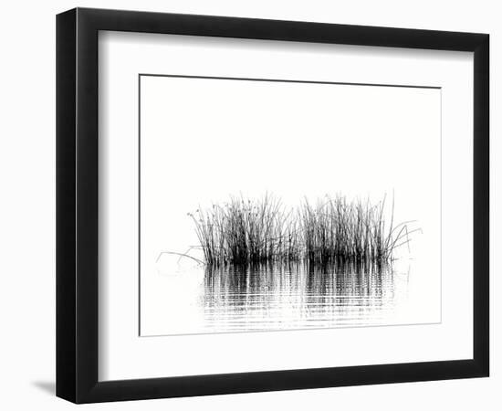 Natures Melody-Janet Slater-Framed Photographic Print