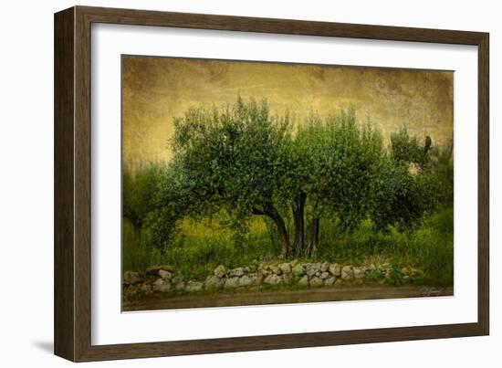 Natures Menage a Trois-Barbara Simmons-Framed Giclee Print