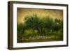 Natures Menage a Trois-Barbara Simmons-Framed Giclee Print