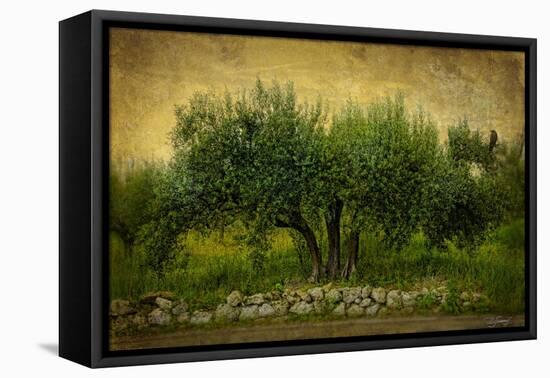 Natures Menage a Trois-Barbara Simmons-Framed Stretched Canvas