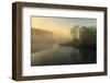 Natures Painting-Ellen Borggreve-Framed Photographic Print