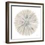 Natures Pinwheel I-Yvette St. Amant-Framed Art Print