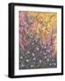 Natures Rays-null-Framed Giclee Print