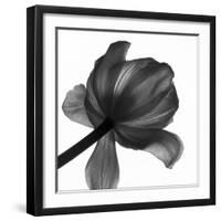 Natures Textile, 2006-Hiroyuki Arakawa-Framed Photographic Print