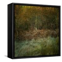 Natures Textures-Doug Chinnery-Framed Stretched Canvas