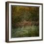 Natures Textures-Doug Chinnery-Framed Photographic Print