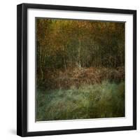 Natures Textures-Doug Chinnery-Framed Photographic Print