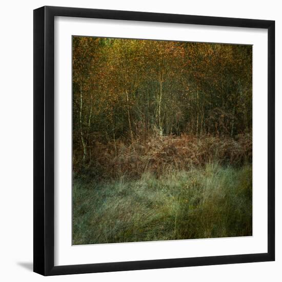 Natures Textures-Doug Chinnery-Framed Photographic Print