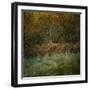 Natures Textures-Doug Chinnery-Framed Photographic Print