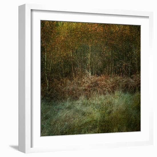 Natures Textures-Doug Chinnery-Framed Photographic Print