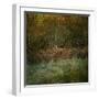 Natures Textures-Doug Chinnery-Framed Photographic Print