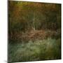 Natures Textures-Doug Chinnery-Mounted Photographic Print