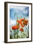 Natures Touch-David Baker-Framed Photographic Print