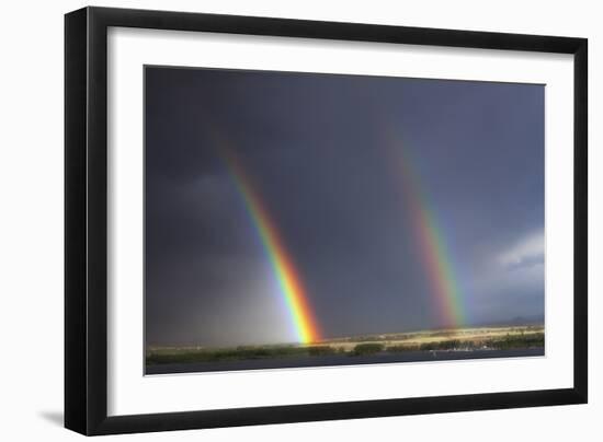 Natures Twin Towers-Darren White Photography-Framed Photographic Print