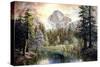 Natures Wonderland-Nicky Boehme-Stretched Canvas
