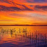 La Albufera Lake Sunset in El Saler of Valencia at Spain-Naturewolrd-Framed Photographic Print