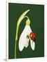 Gramercy White