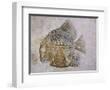 'Macromesodon Macropterus Fish Fossil' Photographic Print Naturfoto