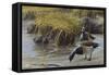 Nauesink River Mates-Michael Budden-Framed Stretched Canvas