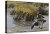 Nauesink River Mates-Michael Budden-Stretched Canvas