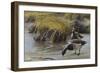 Nauesink River Mates-Michael Budden-Framed Giclee Print
