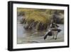 Nauesink River Mates-Michael Budden-Framed Giclee Print