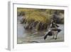 Nauesink River Mates-Michael Budden-Framed Giclee Print