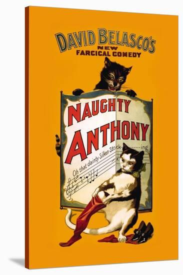 Naughty Anthony-null-Stretched Canvas