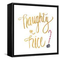 Naughty or Nice-Sd Graphics Studio-Framed Stretched Canvas