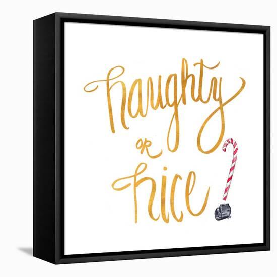 Naughty or Nice-Sd Graphics Studio-Framed Stretched Canvas