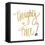 Naughty or Nice-Sd Graphics Studio-Framed Stretched Canvas