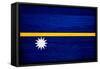 Nauru Flag Design with Wood Patterning - Flags of the World Series-Philippe Hugonnard-Framed Stretched Canvas