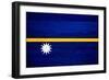 Nauru Flag Design with Wood Patterning - Flags of the World Series-Philippe Hugonnard-Framed Premium Giclee Print