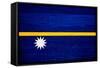 Nauru Flag Design with Wood Patterning - Flags of the World Series-Philippe Hugonnard-Framed Stretched Canvas